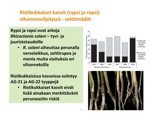 © Luonnonvarakeskus13
Rypsi ja rapsi ovat arkoja
Rhizoctonia solani – tyvi- ja
juuristotaudeille
• R. solani aiheuttaa perunalla
versolaikkua, seittirupea ja
monia muita vioituksia eri
vihanneksilla
Ristikukkaisissa kasveissa esiintyy
AG-21 ja AG-22 tyyppejä
• Ristikukkaiset kasvit eivät
lisää ainakaan merkittävästi
perunaseitin riskiä
Ristikukkaiset kasvit (rypsi ja rapsi)
vihannesviljelyssä - seittimädät
 