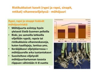 © Luonnonvarakeskus16
Rypsi, rapsi ja sinappi lisäävät
möhöjuuririskiä
• Möhöjuurta esiintyy hyvin
yleisesti Etelä-Suomen pelloilla
• Riski, jos samoilla lohkoilla
viljellään rypsiä, rapsia tai
ristikukkaisia vihanneskasveja,
kuten kaalilajeja, lanttua yms.
• Kerääjäkasvi viljelykierrossa =
möhöjuurelle arka tuotantokasvi
• Suositeltava viljelyväli
möhöjuuritartunnan tasosta
riippuen vähintään 4–8 vuotta
0
10000
20000
30000
40000
50000
60000
70000
80000
90000
0
10
20
30
1984–1986 1987–1989 2007–2009
alle 10 % 10–50% yli50 % Öljykasvien viljelyala
%tutktuistapelloista viljelyalaha
Ristikukkaiset kasvit (rypsi ja rapsi, sinapit,
retikat) vihannesviljelyssä - möhöjuuri
 