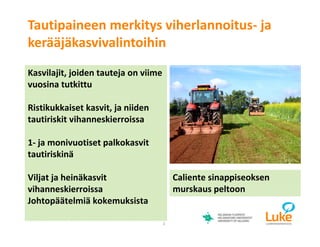 © Luonnonvarakeskus
Tautipaineen merkitys viherlannoitus- ja
kerääjäkasvivalintoihin
2
Kasvilajit, joiden tauteja on viime
vuosina tutkittu
Ristikukkaiset kasvit, ja niiden
tautiriskit vihanneskierroissa
1- ja monivuotiset palkokasvit
tautiriskinä
Viljat ja heinäkasvit
vihanneskierroissa
Johtopäätelmiä kokemuksista
Caliente sinappiseoksen
murskaus peltoon
 