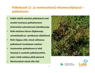 © Luonnonvarakeskus20
• Kaikki edellä mainitut palkokasvit ovat
ainakin teoriassa pahkahomeen
(Sclerotinia sclerotiorum) isäntäkasveja
• Riski otettava lukuun öljykasveja,
varastokaalia ja –porkkanaa viljeltäessä
• Riski riippuu siitä, missä vaiheessa
palkokasvit muokataan maahan
• Useimmiten pahkahome ei ehdi
iskeytyä 1-vuotisiin palkokasveihin,
joten riskiä voidaan pitää pienenä
• Monivuotiset voivat olla riski
Palkokasvit (1- ja monivuotiset) vihannesviljelyssä –
pahkahome
 