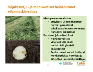 © Luonnonvarakeskus
Viljakasvit, 1- ja monivuotiset heinänurmet
vihanneskierroissa
23
Maanparannusvaikutus
• Erityisesti useampivuotiset
nurmet parantavat
tehokkaasti maan rakennetta
• Runsaasti biomassaa
Kasvinsuojeluvaikutukset
• Heinäkasveilla ja
vihanneksilla ei ole
merkittäviä yhteisiä
kasvitauteja
• Sepän toukat voivat lisääntyä
monivuotisissa nurmissa ja
aiheuttaa juureksille haittoja
 