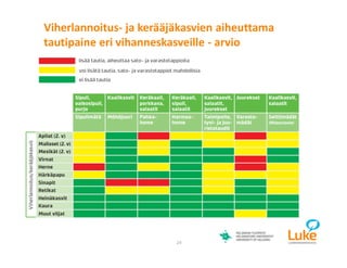 © Luonnonvarakeskus24
Viherlannoitus- ja kerääjäkasvien aiheuttama
tautipaine eri vihanneskasveille - arvio
 