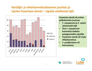 © Luonnonvarakeskus7
Fusarium-sieniä oli eniten
palkokasvien juurissa
• F. oxysporum ja F. solani
yleisimmät lajit
• Osa F. oxysporum-
kannoista todettu
patogeenisiksi sipulille
• Fusarium-sieniä oli myös
rikkakasveissa
• F. proliferatum oli
harvinainen
Kerääjä- ja viherlannoituskasvien juurten ja
tyvien Fusarium-sienet – sipulia vioittavat lajit
0
20
40
60
80
100
Muut lajit
F. proliferatum
F. oxysporum
 