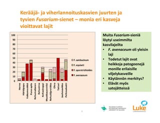 © Luonnonvarakeskus9
Muita Fusarium-sieniä
löytyi useimmilta
kasvilajeilta
• F. avenaceum oli yleisin
laji
• Todetut lajit ovat
heikkoja patogeenejä
monille erilaisille
viljelykasveille
• Käytännön merkitys?
• Elävät myös
satojätteissä
0
10
20
30
40
50
60
70
80
90
100
Herne
Härkäpapu
Valkomesikkä
Puna-apila
Rehumailanen
Rehuvirna
Keltasinappi
Muokkausretiisi
Rehuöljyretikka
Ohra
Tattari
Jauhosavikka
Peltovalvatti
F. sambucinum
F. equiseti
F. sporotrichioides
F. avenaceum
Kerääjä- ja viherlannoituskasvien juurten ja
tyvien Fusarium-sienet – monia eri kasveja
vioittavat lajit
 