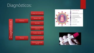 Diagnósticos:
Diagnósticos
Indirecta
Pruebas de screening
Western blot
Dot blot
Inmunofluorencencia
indirecta
Directa
Cultivo celular
Antigenemia de p24
Técnica molecular
(PCR)
 