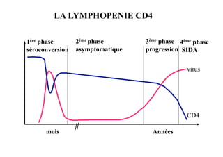 LA LYMPHOPENIE CD4

1ère phase       2ème phase       3ème phase 4ème phase
séroconversion   asymptomatique   progression SIDA


                                               virus




                                               CD4

      mois                          Années
 