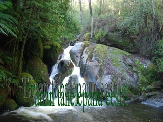 Tänan tähelepanu eest!! Tänan tähelepanu eest!! 