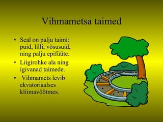 Vihmametsa taimed Seal on palju taimi: puid, lilli, võsusuid, ning palju epifüüte. Liigirohke ala ning igivanad taimede. Vihmamets levib ekvatoriaalses kliimavöötmes. 