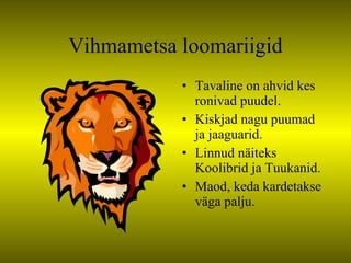 Vihmametsa loomariigid Tavaline on ahvid kes ronivad puudel. Kiskjad nagu puumad ja jaaguarid. Linnud näiteks Koolibrid ja Tuukanid. Maod, keda kardetakse väga palju. 