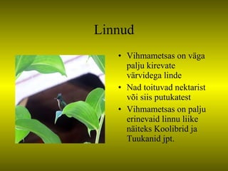 Linnud Vihmametsas on väga palju kirevate värvidega linde Nad toituvad nektarist või siis putukatest Vihmametsas on palju erinevaid linnu liike näiteks Koolibrid ja Tuukanid jpt. 