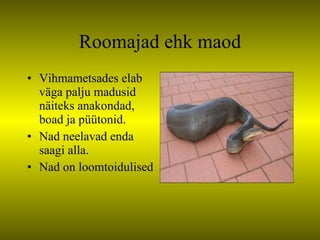 Roomajad ehk maod Vihmametsades elab väga palju madusid näiteks anakondad, boad ja püütonid. Nad neelavad enda saagi alla. Nad on loomtoidulised 