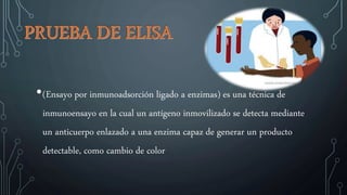 •(Ensayo por inmunoadsorción ligado a enzimas) es una técnica de
inmunoensayo en la cual un antígeno inmovilizado se detecta mediante
un anticuerpo enlazado a una enzima capaz de generar un producto
detectable, como cambio de color
 