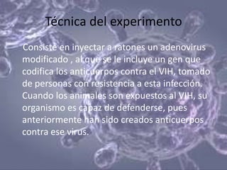Técnica del experimento
Consiste en inyectar a ratones un adenovirus
modificado , al que se le incluye un gen que
codifica los anticuerpos contra el VIH, tomado
de personas con resistencia a esta infección.
Cuando los animales son expuestos al VIH, su
organismo es capaz de defenderse, pues
anteriormente han sido creados anticuerpos
contra ese virus.
 