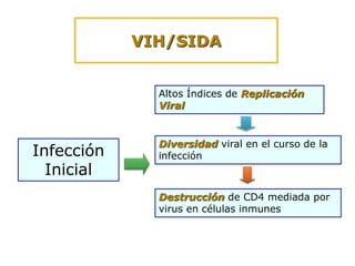 VIH/SIDA
Infección
Inicial
Altos Índices de Replicación
Viral
Diversidad viral en el curso de la
infección
Destrucción de CD4 mediada por
virus en células inmunes
 