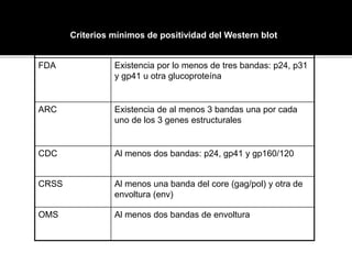 Criterios mínimos de positividad del Western blot
FDA Existencia por lo menos de tres bandas: p24, p31
y gp41 u otra glucoproteína
ARC Existencia de al menos 3 bandas una por cada
uno de los 3 genes estructurales
CDC Al menos dos bandas: p24, gp41 y gp160/120
CRSS Al menos una banda del core (gag/pol) y otra de
envoltura (env)
OMS Al menos dos bandas de envoltura
 