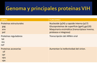 GENES FUNCIONES
Proteínas estructurales
gag
env
pol
Nucleoide (p24) y capside interna (p17)
Glucoproteínas de superficie (gp41,gp120)
Maquinaria enzimática (transcriptasa inversa,
proteasa e integrasa)
Proteínas reguladoras
tat
rev
nef
Transcripción del ARNm viral
Proteinas accesorias
vif
cpr
vpu
vpx
Aumentan la inefectividad del virion.
 
