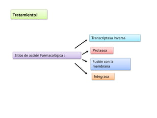 Tratamiento:
Sitios de acción Farmacológica :
Transcriptasa Inversa
Proteasa
Fusión con la
membrana
Integrasa
 