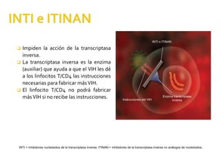 Impiden la acción de la transcriptasa
inversa.
 La transcriptasa inversa es la enzima
(auxiliar) que ayuda a que el VIH les dé
a los linfocitos T/CD4 las instrucciones
necesarias para fabricar másVIH.
 El linfocito T/CD4 no podrá fabricar
másVIH si no recibe las instrucciones.
INTI o ITINAN
Instrucciones del VIH
Enzima transcriptasa
inversa
INTI = inhibidores nucleósidos de la transcriptasa inversa; ITINAN = inhibidores de la transcriptasa inversa no análogos de nucleósidos.
 