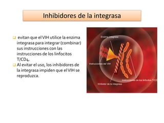  evitan que elVIH utilice la enzima
integrasa para integrar (combinar)
sus instrucciones con las
instrucciones de los linfocitos
T/CD4.
 Al evitar el uso, los inhibidores de
la integrasa impiden que elVIH se
reproduzca.
Enzima integrasa
Inhibidor de la integrasa
Instrucciones de los linfocitos T/CD4
Instrucciones del VIH
Inhibidores de la integrasa
 