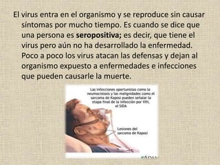 El virus entra en el organismo y se reproduce sin causar
síntomas por mucho tiempo. Es cuando se dice que
una persona es seropositiva; es decir, que tiene el
virus pero aún no ha desarrollado la enfermedad.
Poco a poco los virus atacan las defensas y dejan al
organismo expuesto a enfermedades e infecciones
que pueden causarle la muerte.
 