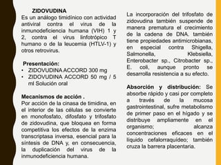 ZIDOVUDINA
Es un análogo timidínico con actividad
antiviral contra el virus de la
inmunodeficiencia humana (VIH) 1 y
2, contra el virus linfotrópico T
humano o de la leucemia (HTLV-1) y
otros retrovirus.
Presentación:
• ZIDOVUDINA ACCORD 300 mg
• ZIDOVUDINA ACCORD 50 mg / 5
ml Solución oral
Mecanismos de acción .
Por acción de la cinasa de timidina, en
el interior de las células se convierte
en monofosfato, difosfato y trifosfato
de zidovudina, que bloquea en forma
competitiva los efectos de la enzima
transcriptasa inversa, esencial para la
síntesis de DNA y, en consecuencia,
la duplicación del virus de la
inmunodeficiencia humana.
La incorporación del trifosfato de
zidovudina también suspende de
manera prematura el crecimiento
de la cadena de DNA. también
tiene propiedades antimicrobianas,
en especial contra Shigella,
Salmonella, Klebsiella,
Enterobacter sp., Citrobacter sp.,
E. coli, aunque pronto se
desarrolla resistencia a su efecto.
Absorción y distribución: Se
absorbe rápido y casi por completo
a través de la mucosa
gastrointestinal, sufre metabolismo
de primer paso en el hígado y se
distribuye ampliamente en el
organismo; alcanza
concentraciones eficaces en el
líquido cefalorraquídeo; también
cruza la barrera placentaria.
 