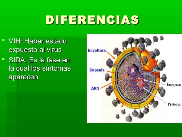 Vih (virus de la inmunodeficiencia humana)
