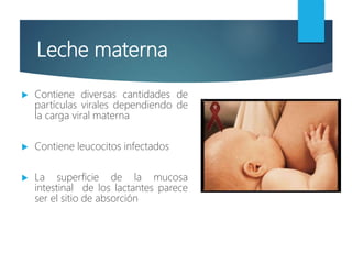 Leche materna
 Contiene diversas cantidades de
partículas virales dependiendo de
la carga viral materna
 Contiene leucocitos infectados
 La superficie de la mucosa
intestinal de los lactantes parece
ser el sitio de absorción
 