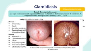 Clamidiasis
Bacteria Gramnegativa intracelular.
Las cepas pertenecientes a la especie de Chlamydia trachomatis se clasifican en una serie de serotipos A-K
y los pertenecientes al linfogranuloma venéreo (LGV) L1, L2 y L3.
Chlamydia trachomatis
MANIFESTACIÓN SINTOMÁTICA
Hombres
● Asintomática
● Disuria
● Secreción uretral escasa de aspecto mucoide
● Complicaciones: epididimitis, prostatitis, proctitis, síndrome de
Reiter e infertilidad.
Mujeres
● Asintomática
● Cervicitis mucopurulenta
● Disuria
● Infección postparto
● Dolor pélvico (EPI x endometritis y salpingitis)
● Esterilidad e infertilidad
MANIFESTACIÓN SINTOMÁTICA
Infección neonatal
● Queratitis puntiforme
● Lesiones cicatriciales en conjuntiva
● Neumonía afebril
 