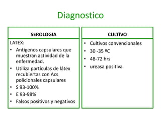 Diagnostico
         SEROLOGIA                          CULTIVO
LATEX:                           •   Cultivos convencionales
• Antigenos capsulares que       •   30 -35 ºC
  muestran actividad de la
  enfermedad.                    •   48-72 hrs
• Utiliza partículas de látex    •   ureasa positiva
  recubiertas con Acs
  policlonales capsulares
• S 93-100%
• E 93-98%
• Falsos positivos y negativos
 