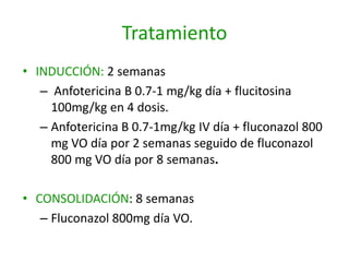 Tratamiento
• INDUCCIÓN: 2 semanas
   – Anfotericina B 0.7-1 mg/kg día + flucitosina
     100mg/kg en 4 dosis.
   – Anfotericina B 0.7-1mg/kg IV día + fluconazol 800
     mg VO día por 2 semanas seguido de fluconazol
     800 mg VO día por 8 semanas.

• CONSOLIDACIÓN: 8 semanas
   – Fluconazol 800mg día VO.
 