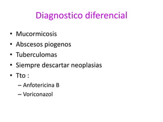 Diagnostico diferencial
•   Mucormicosis
•   Abscesos piogenos
•   Tuberculomas
•   Siempre descartar neoplasias
•   Tto :
    – Anfotericina B
    – Voriconazol
 