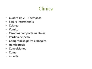 Clinica
•   Cuadro de 2 – 8 semanas
•   Fiebre intermitente
•   Cefalea
•   Vomito
•   Cambios comportamentales
•   Perdida de peso.
•   Compromiso pares craneales
•   Hemiparesia
•   Convulsiones
•   Coma
•   muerte
 