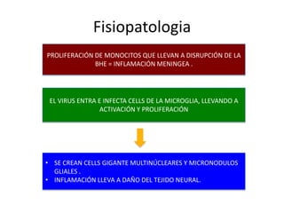 Fisiopatologia
PROLIFERACIÓN DE MONOCITOS QUE LLEVAN A DISRUPCIÓN DE LA
              BHE = INFLAMACIÓN MENINGEA .




 EL VIRUS ENTRA E INFECTA CELLS DE LA MICROGLIA, LLEVANDO A
                 ACTIVACIÓN Y PROLIFERACIÓN




• SE CREAN CELLS GIGANTE MULTINÚCLEARES Y MICRONODULOS
  GLIALES .
• INFLAMACIÓN LLEVA A DAÑO DEL TEJIDO NEURAL.
 
