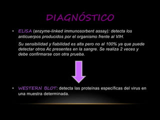 DIAGNÓSTICO
• ELISA (enzyme-linked immunosorbent assay): detecta los
anticuerpos producidos por el organismo frente al VIH.
Su sensibilidad y fiabilidad es alta pero no al 100% ya que puede
detectar otros Ac presentes en la sangre. Se realiza 2 veces y
debe confirmarse con otra prueba.
• WESTERN BLOT: detecta las proteínas específicas del virus en
una muestra determinada.
 