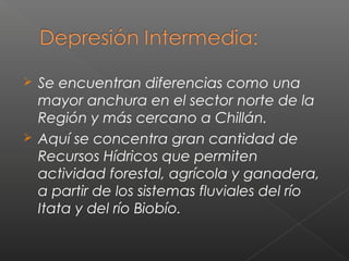  Se encuentran diferencias como una
mayor anchura en el sector norte de la
Región y más cercano a Chillán.
 Aquí se concentra gran cantidad de
Recursos Hídricos que permiten
actividad forestal, agrícola y ganadera,
a partir de los sistemas fluviales del río
Itata y del río Biobío.
 