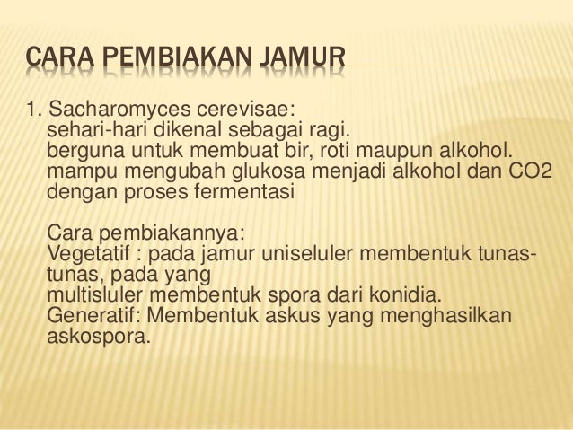 Content to image for Cara pelihara jamur