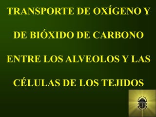 TRANSPORTE DE OXÍGENO Y

 DE BIÓXIDO DE CARBONO

ENTRE LOS ALVEOLOS Y LAS

 CÉLULAS DE LOS TEJIDOS
 