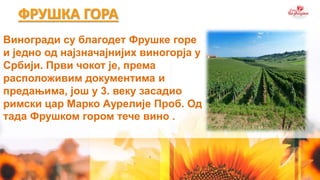ФРУШКА ГОРА
Виногради су благодет Фрушке горе
и једно од најзначајнијих виногорја у
Србији. Први чокот је, према
расположивим документима и
предањима, још у 3. веку засадио
римски цар Марко Аурелије Проб. Од
тада Фрушком гором тече вино .
 