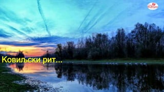 Product A
• Feature 1
• Feature 2
• Feature 3
Product B
• Feature 1
• Feature 2
• Feature 3
Ковиљски рит...
 