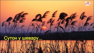 Product A
• Feature 1
• Feature 2
• Feature 3
Product B
• Feature 1
• Feature 2
• Feature 3
Сутон у шевару...
 