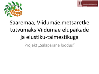 Saaremaa, Viidumäe metsaretke
tutvumaks Viidumäe elupaikade
ja elustiku-taimestikuga
Projekt „Salapärane loodus“
 
