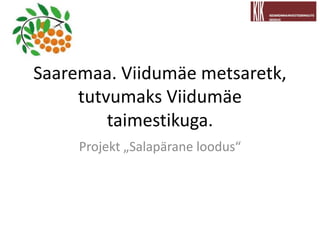 Saaremaa. Viidumäe metsaretk,
tutvumaks Viidumäe
taimestikuga.
Projekt „Salapärane loodus“
 