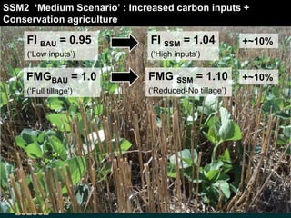 VIIe - Global Soil Organic Carbon Sequestration Potential Map - GSOCseq ...