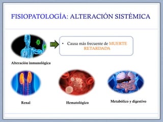 FISIOPATOLOGÍA: ALTERACIÓN SISTÉMICA
Alteración inmunológica
Renal
• Causa más frecuente de MUERTE
RETARDADA
Hematológico Metabólico y digestivo
 