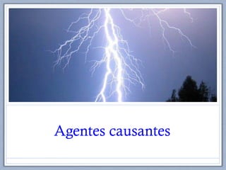 Agentes causantes
 