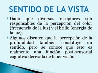 Dado que diversos receptores son responsables de la percepción del color (frecuencia de la luz) y el brillo (energía de la luz).  Algunos discuten que la percepción de la profundidad también constituye un sentido, pero se conoce que esto es realmente una función post-sensorial cognitiva derivada de tener visión. 