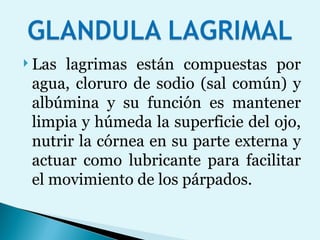 Las lagrimas están compuestas por agua, cloruro de sodio (sal común) y albúmina y su función es mantener limpia y húmeda la superficie del ojo, nutrir la córnea en su parte externa y actuar como lubricante para facilitar el movimiento de los párpados. 
