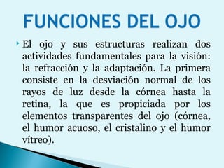 El ojo y sus estructuras realizan dos actividades fundamentales para la visión: la refracción y la adaptación. La primera consiste en la desviación normal de los rayos de luz desde la córnea hasta la retina, la que es propiciada por los elementos transparentes del ojo (córnea, el humor acuoso, el cristalino y el humor vítreo).  