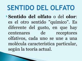 Sentido del olfato  o del  olor : es el otro sentido "químico". Es diferente del gusto, en que hay centenares de receptores olfativos, cada uno se une a una molécula característica particular, según la teoría actual.  