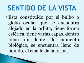 Esta constituido por el bulbo o globo ocular que se encuentra alojado en la orbita, tiene forma esférica, tiene varias capas, dentro tiene un lente de aumento biológico, se encuentra lleno de liquido, el cual le da la forma.  